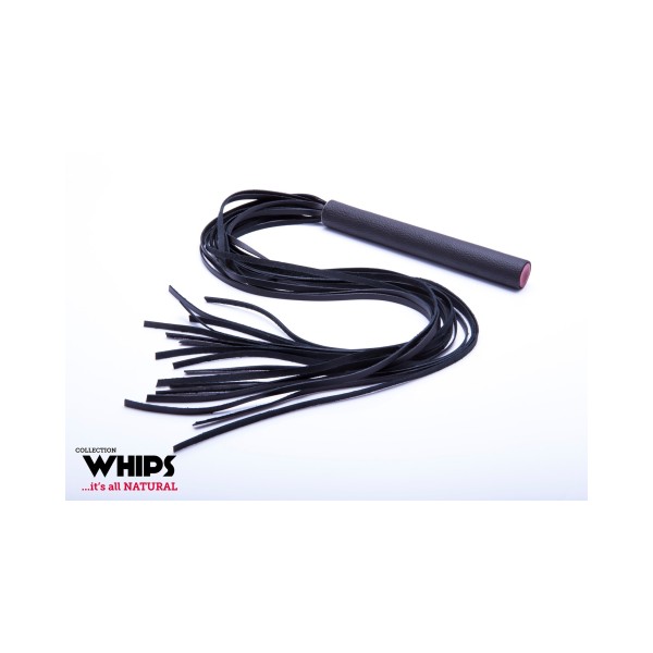 Pejcz Whips